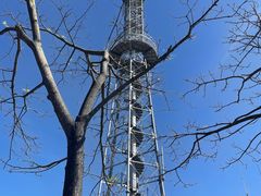 -风云岭森林公园