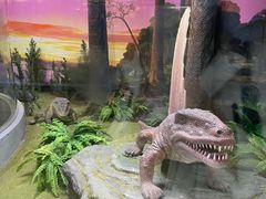 -国家自然博物馆