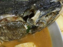 -煲来饱去冷水鱼