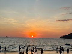 -真浪大家乐海鲜餐馆