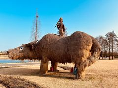 -上海辰山植物园