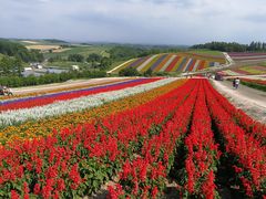 -富田农场