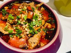 -锦尚阁烤鱼(望京新荟城店)