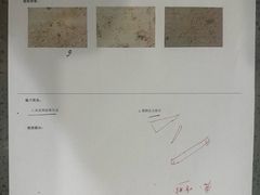 -宠颐生斯嘉宠物医院·急重症·心内科(谷阳北路分院)