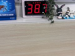 -凯特喵百思猫专科医院