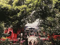 -青城山