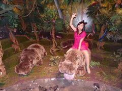 景点-济州岛泰迪熊博物馆