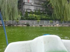 -莲湖公园