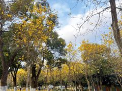 -天河儿童公园