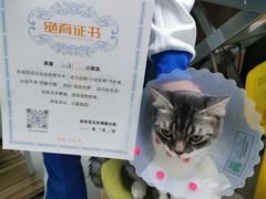 -纳吉亚猫专科动物医院博雅分院