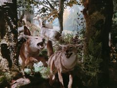 -陕西自然博物馆