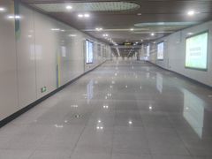-王全兴鸡血汤鸡汤饭(交通路店)