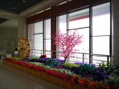 -丽江三义国际机场