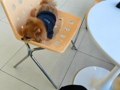 -怪兽屋·羊驼·猫咖·狗咖(俊华广场店)