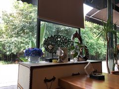 靠窗位-桉树林A coffee 森林餐厅(三圣乡店)