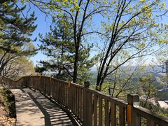 -帽儿山国家森林公园