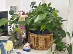 -微笑时刻照相馆·企业合影·商务外拍(北京五道口店)