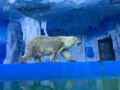 -多彩贵州城极地海洋世界
