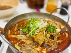 -凯鸽酒楼(大同振兴街店)