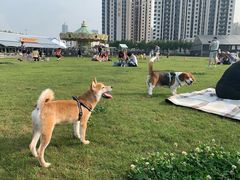 -栖露营camping·天幕烧烤·团建拓展·采摘营地