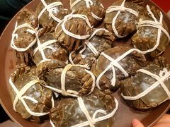 清蒸大闸蟹-新花城蟹粉馆(乌鲁木齐店)