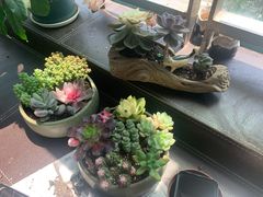 -双季花艺园艺市场(浦东店)