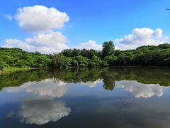 -盘龙城国家考古遗址公园