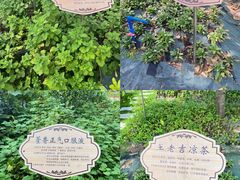 -广东中医药博物馆