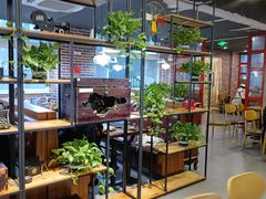-星光教育超市(传媒大学店)