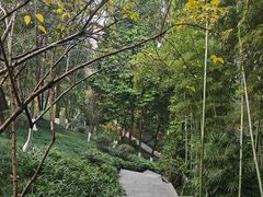 -龙头寺公园