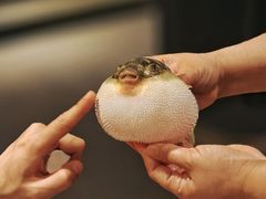 -永安鱼庄·镇江菜(东吴路店)