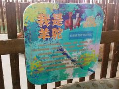 android_upload_pic-开元商城(西旺店)