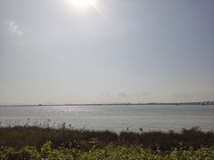 -芒洲湿地公园