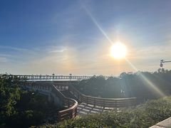 -宝安西湾红树林湿地公园