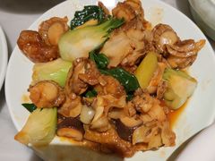 -青雅中餐厅(大连金石滩绿发希尔顿度假酒店)