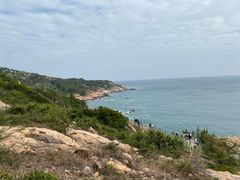 -广东惠东海龟国家级自然保护区
