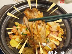 砂锅焗湛江生蚝-菉雅苑·湛江菜(前海卓越INTOWN店)