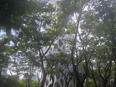 -亚马逊丛林水乐园