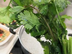 香菜-就这家旋转小火锅(西安路罗斯福店)