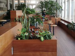 大堂-Seesaw Coffee(朝阳大悦城店)