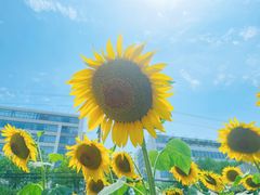 -北京雄鹿运动中心