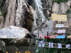 -洛阳白云山景区