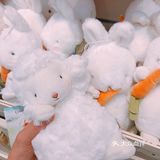 直接问是不是要找网红小羊