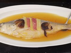 老酒蒸鲥鱼￥298-望乡楼上海菜(日月光店)