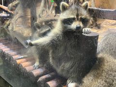 -哈尔滨波塞冬海底世界
