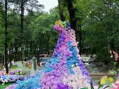 -洛阳白云山景区