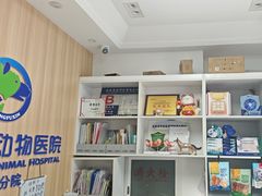 -宠福鑫康馨动物医院·骨科·眼科