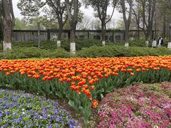 -玄武湖景区-情侣园游乐场