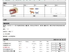 -爱侣宠医·鹦鹉专科·小型哺乳类·异宠专科(灵石路店)