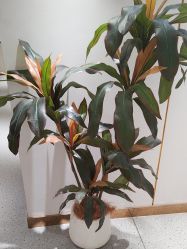 -康美贞·痘肌养护管理中心